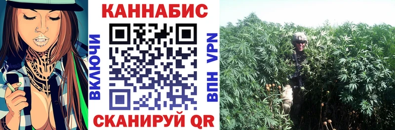 Где найти наркотики Воркута Канабис  Героин  А ПВП  Меф  COCAIN 