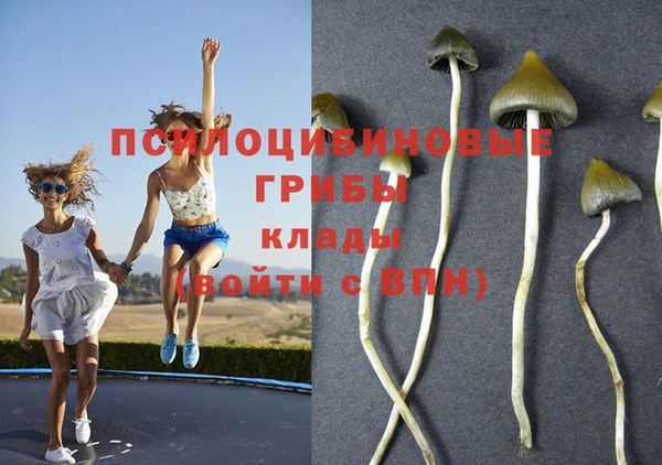 амф Белокуриха