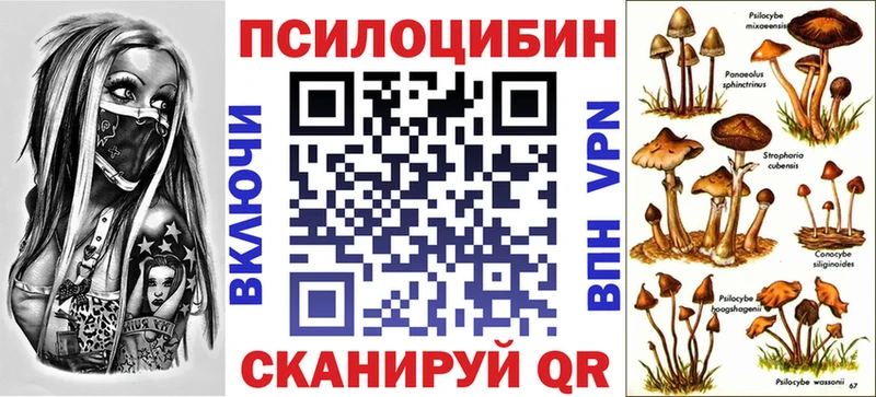Галлюциногенные грибы GOLDEN TEACHER купить наркотики сайты Воркута